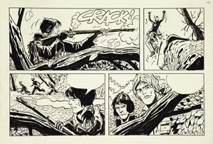 Fra le rapide del Susquehanna