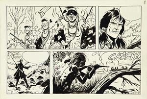 Fra le rapide del Susquehanna