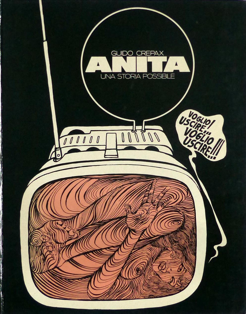 Anita: Una storia possibile