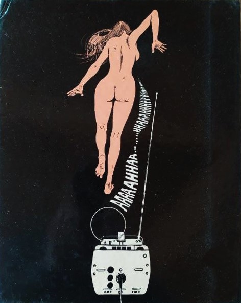 Anita: Una storia possibile