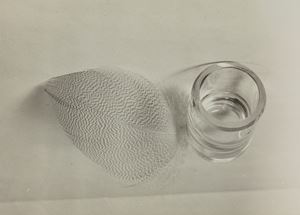 Untitled (Still life)