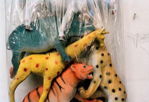From the series "Selvatico" , "Sacco con animali"