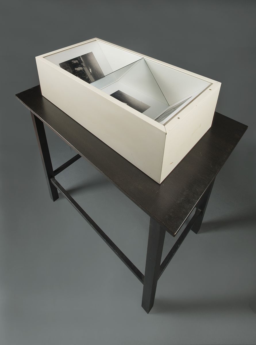 Thomas Ruff - 3D-Schwarzwald (Jungbullen), Due stampe vintage alla gelatina ai sali d'argento con...