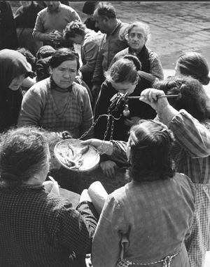 Mercato ittico, Chioggia 