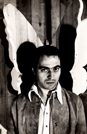 Mario Ceroli &quot;Farfalle&quot;