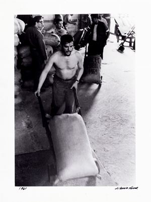 Che Guevara, L'estibador