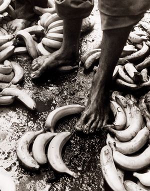 Senza titolo (Banane)