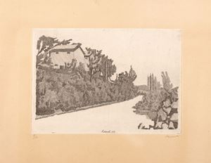 The white road