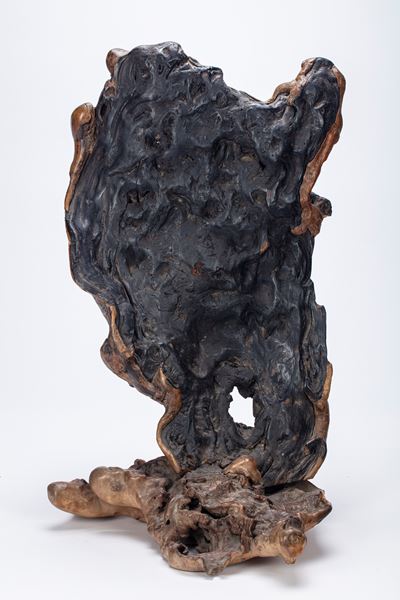 Grande Radice "scholar's Rock". Cina, Dinastia Qing (1644-1912)