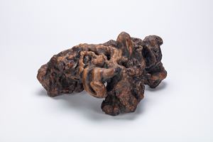 Grande radice "Scholar's Rock". Cina, dinastia Qing (1644-1912)