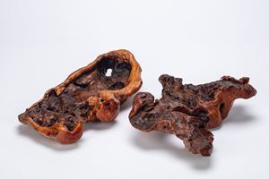 Two "Scholar's Rock" roots. China, Qing dynasty (1644-1912)