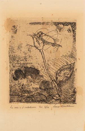 La rosa e il calabrone