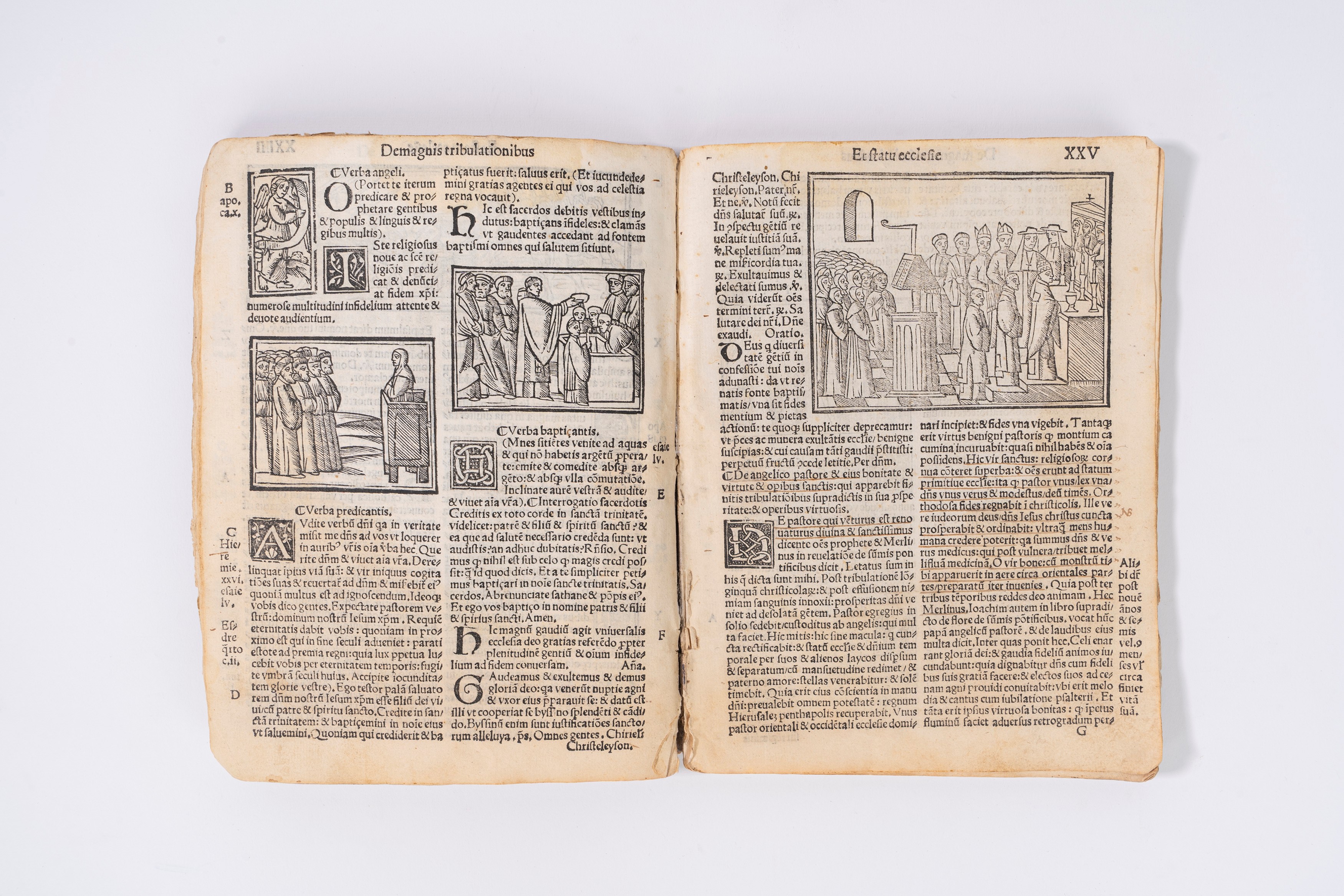 Abbas Ioachim magnus propheta