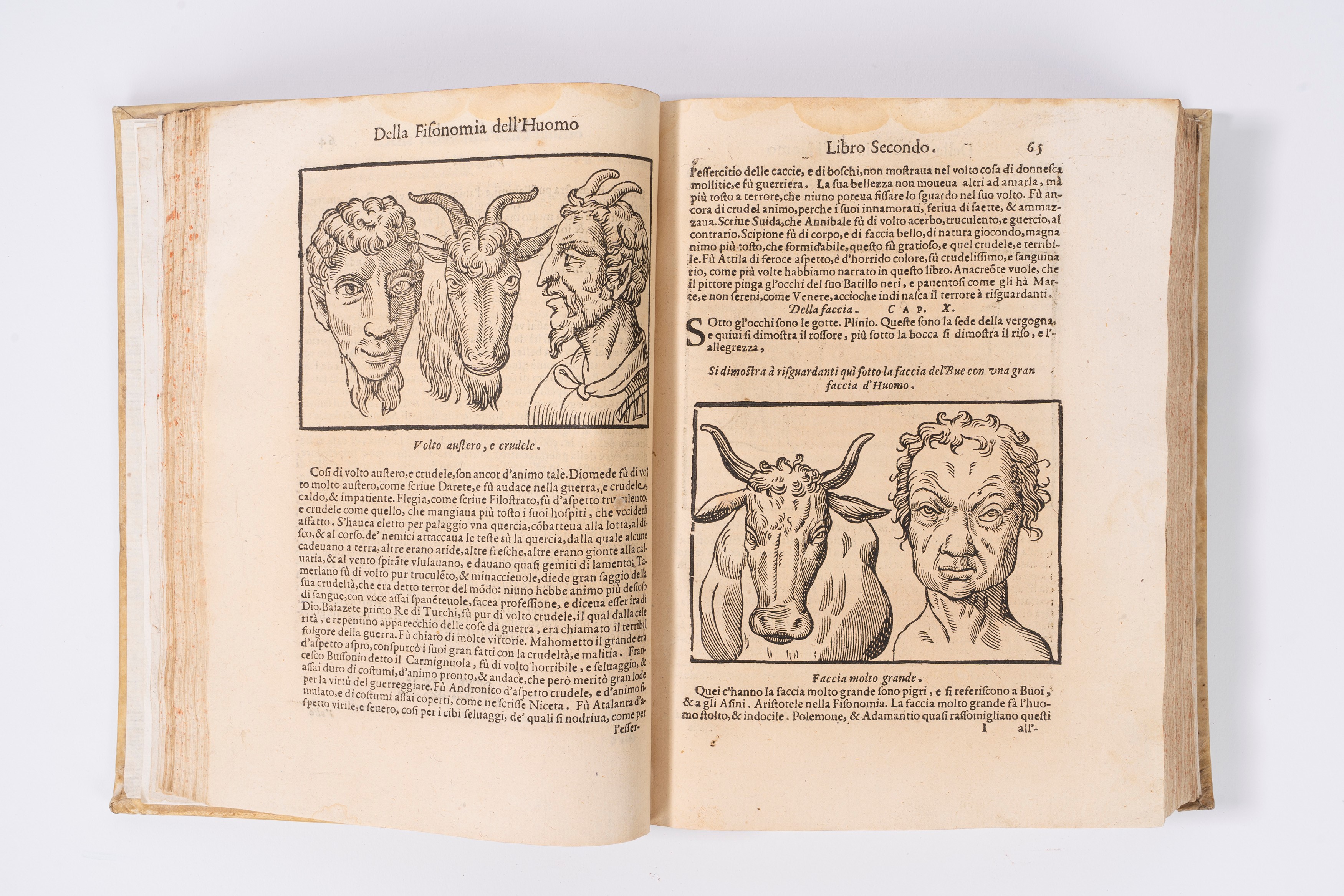 Dalla Porta, Giovanni Battista - Della Fisonomia Dell'huomo del Signor Gio. Battista dalla Porta ...