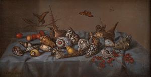 Imitatore di Balthasar Van der Ast - Natura morta con conchiglie