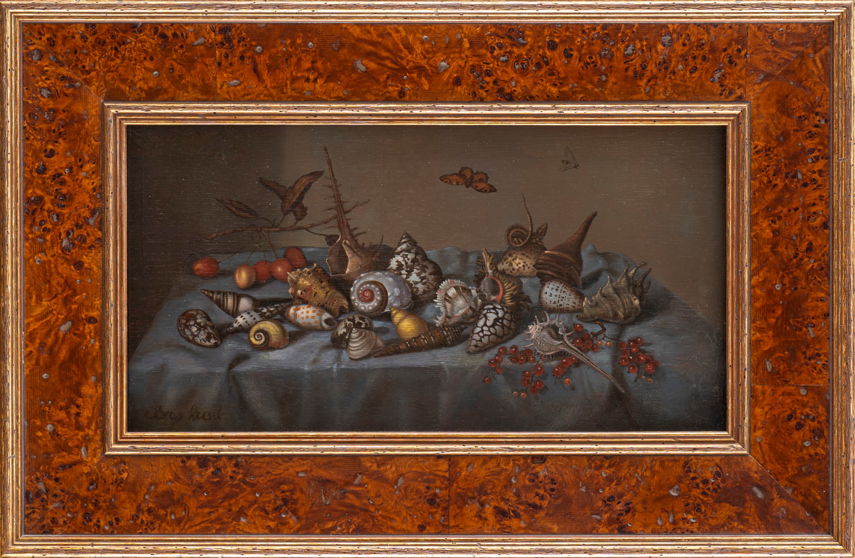 Imitatore di Balthasar Van Der Ast - Natura Morta con Conchiglie