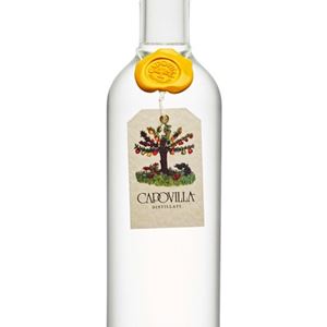 Capovilla Grappa di Moscato Giallo