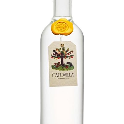 Capovilla Grappa di Moscato Giallo