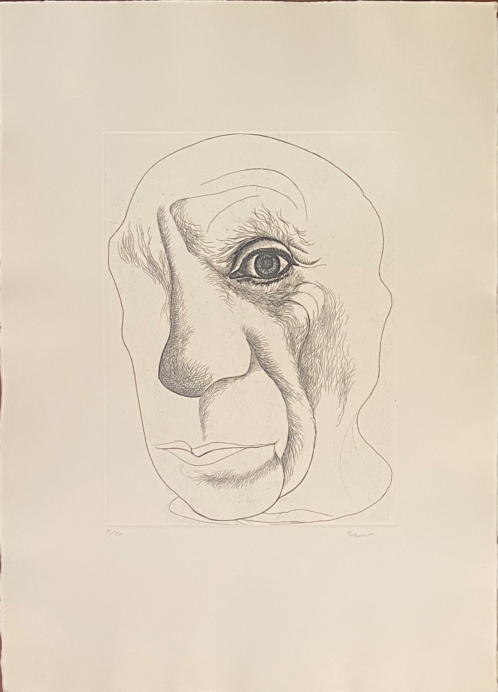 Autori Vari - Omaggio a Picasso