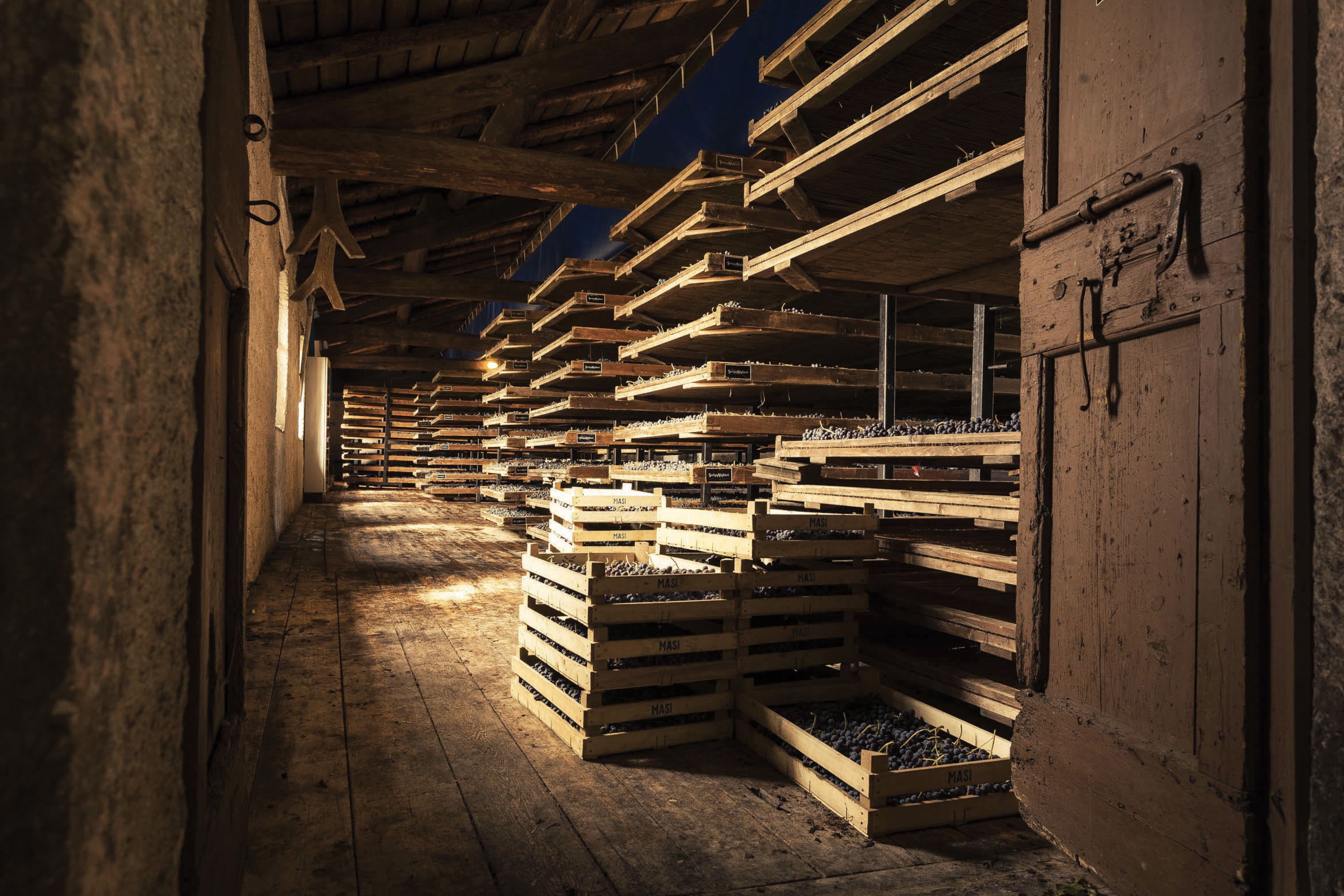 Sogno d’Amarone: tra storia, vino e tradizione