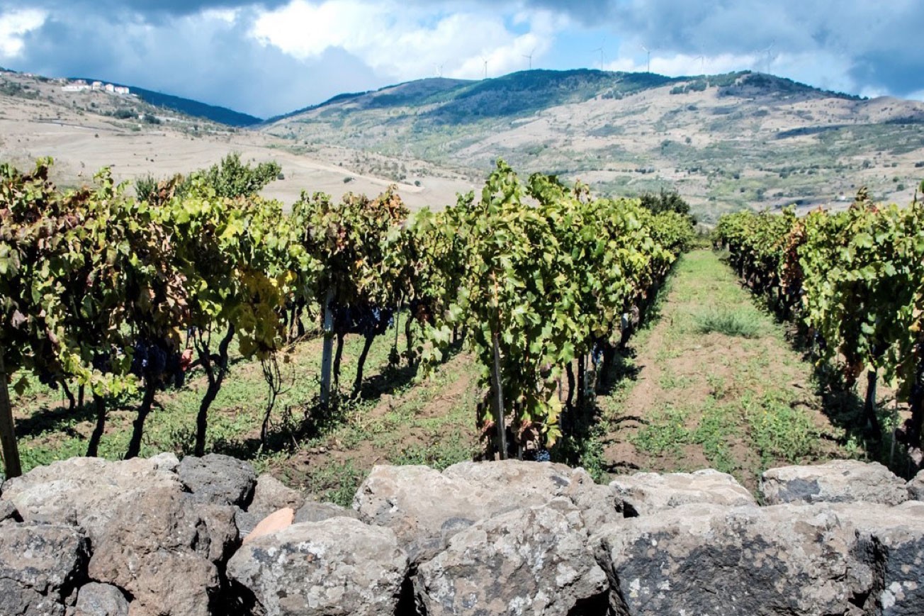 Visita Privata ed Esperienza a Donnafugata + Radici Taurasi D.O.C.G. - 1998 - formato 3 l