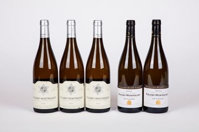 Selezione Puligny-montrachet (5 Bt)