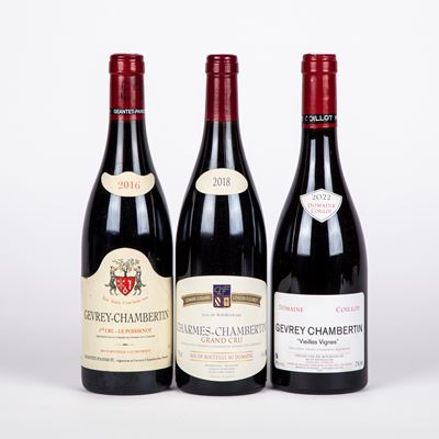 Selezione Borgogna Rosso (3 Bt)