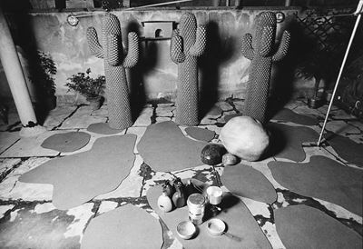 Cactus appendiabiti, stampa vintage alla gelatina ai sali d'argento