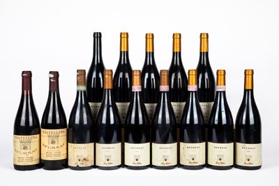 Nino Negri Verticale Sfursat 1995-2012 (14 Bt)
