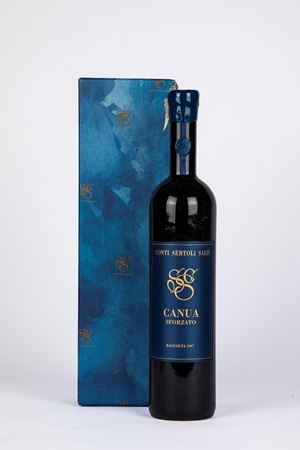 Conti Sertoli Salis Sfursat Canua Magnum