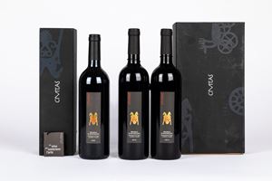 Selezione Caparzo Civitas