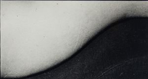 Forma di Donna