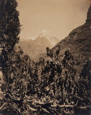 Monte Baker e valle Mobuku dal Campo di Bujongolo