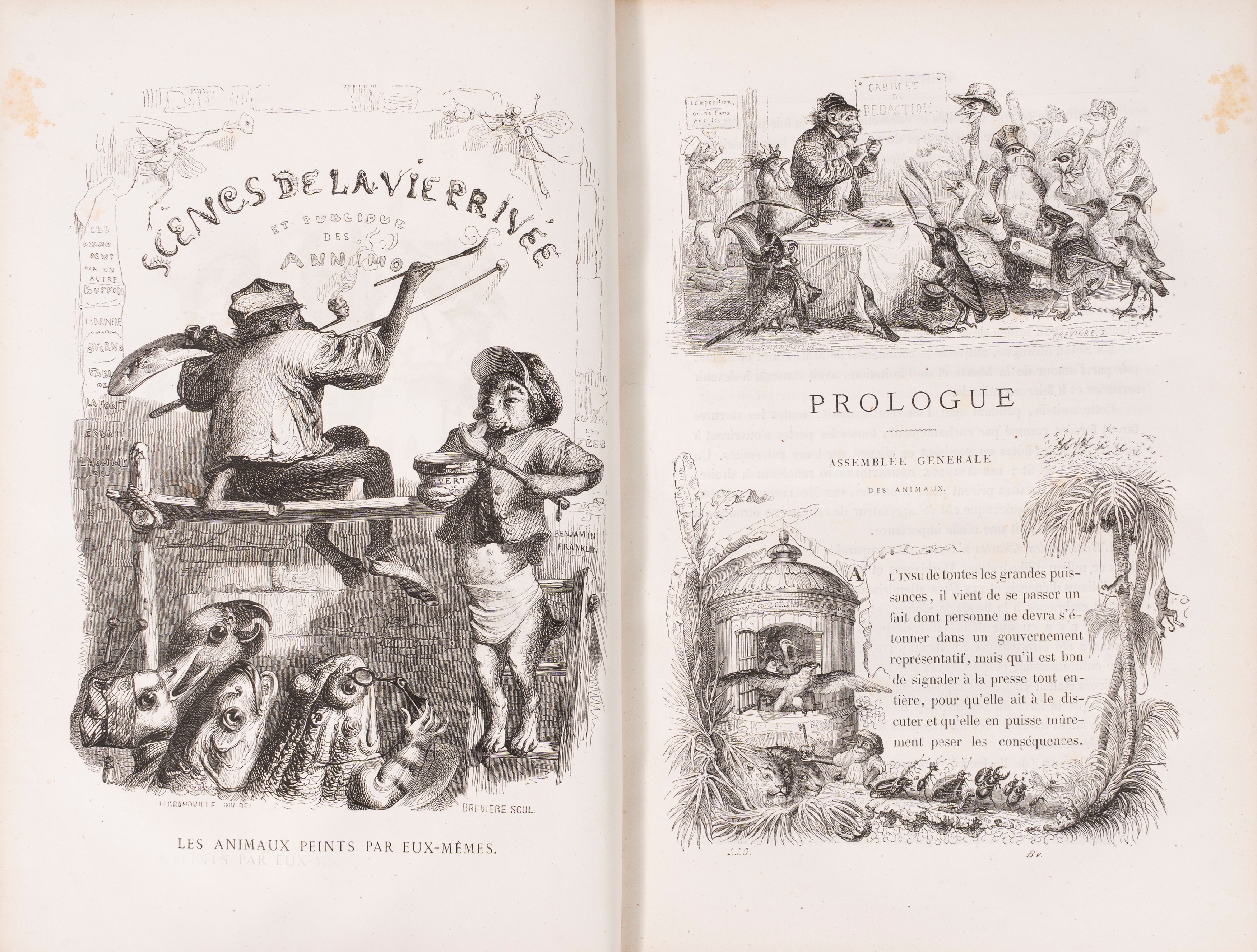 Grandville, Jean - Jacques - Vie Privée Et Publique Des Animaux