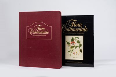 Flora Ornamentale - Iconographia Taurinensis