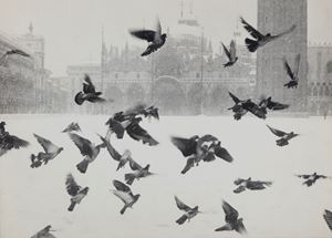 Untitled (St. Mark's Square, Venice)