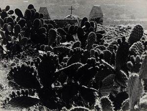 Senza titolo (Misilmeri, Sicilia)