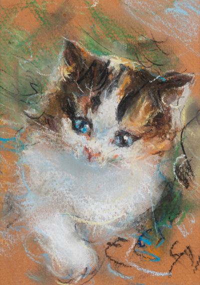 Micio