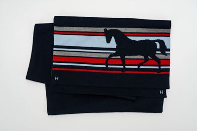 Sciarpa in misto cachemire e seta con stampa cavallo multicolor