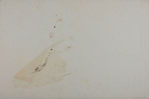 Senza titolo (Sirena)