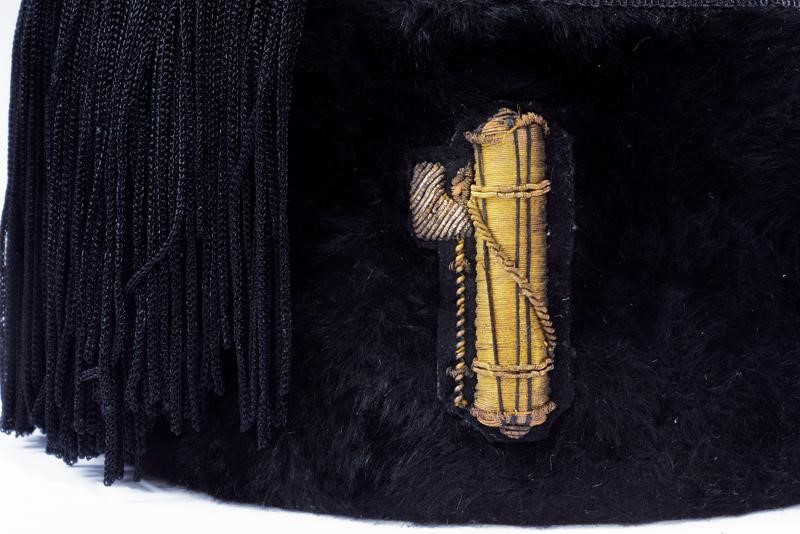 Fez da componente del direttorio Federale