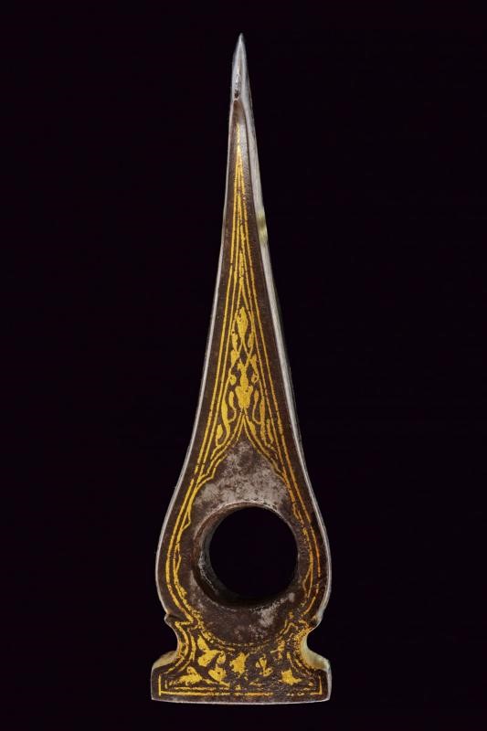 Bella testa di un tabar