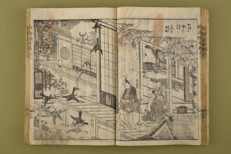 Volume con Illustrazioni di Bushi