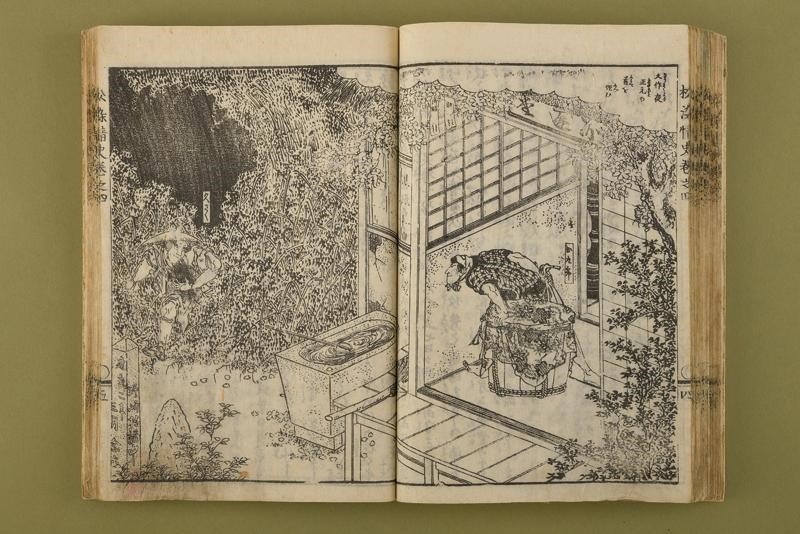 Volume con Illustrazioni di Bushi