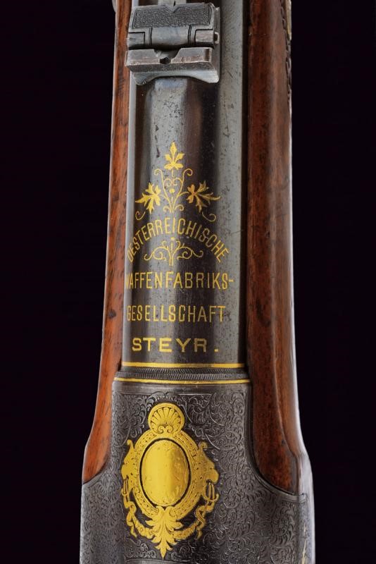 Fantastica Carabina Stutzen di Steyr con Otturatore Werndl