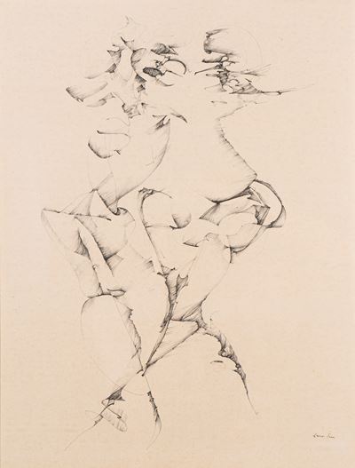 Spirito di Contraddizione