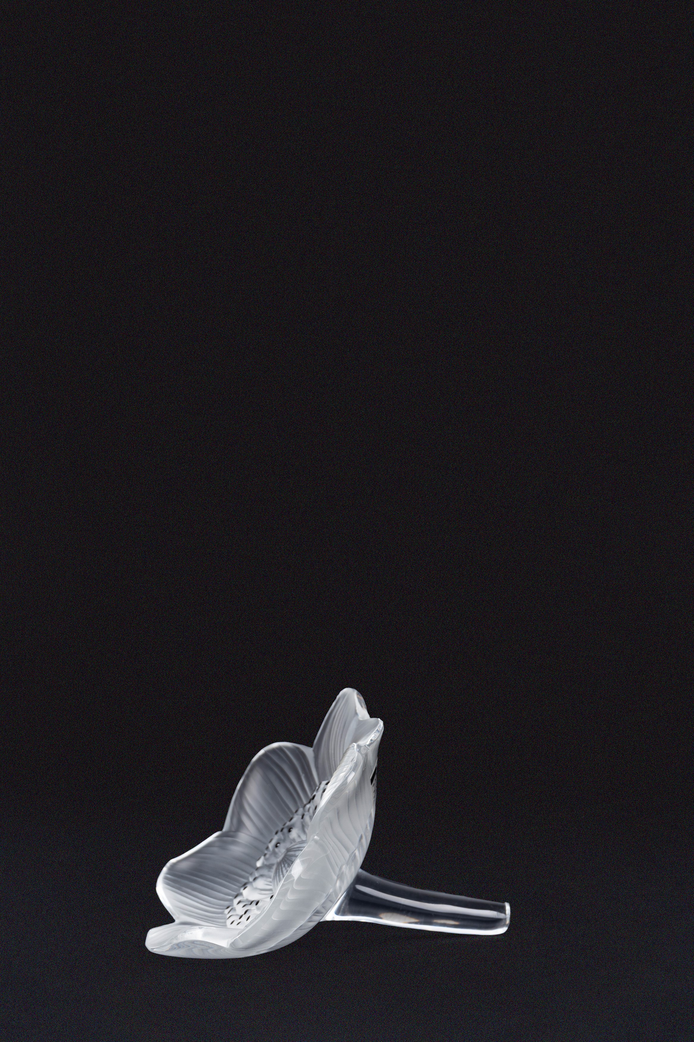 Lalique - Fermacarte in Cristallo Anemone