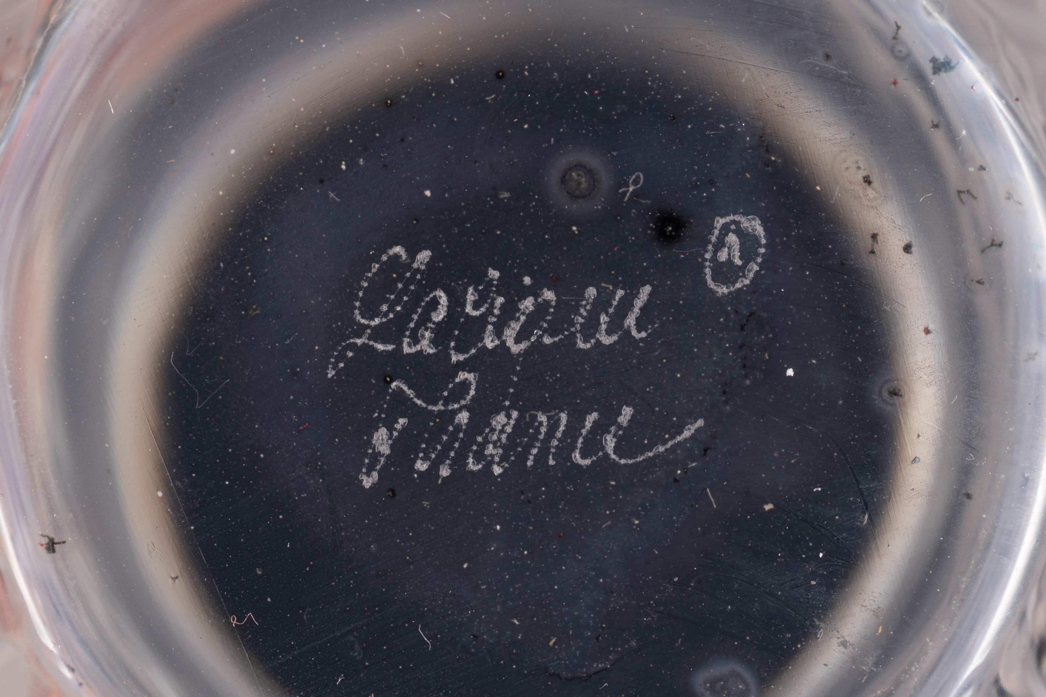 Lalique - Vaso in Cristallo Satinato Femme Fleurs