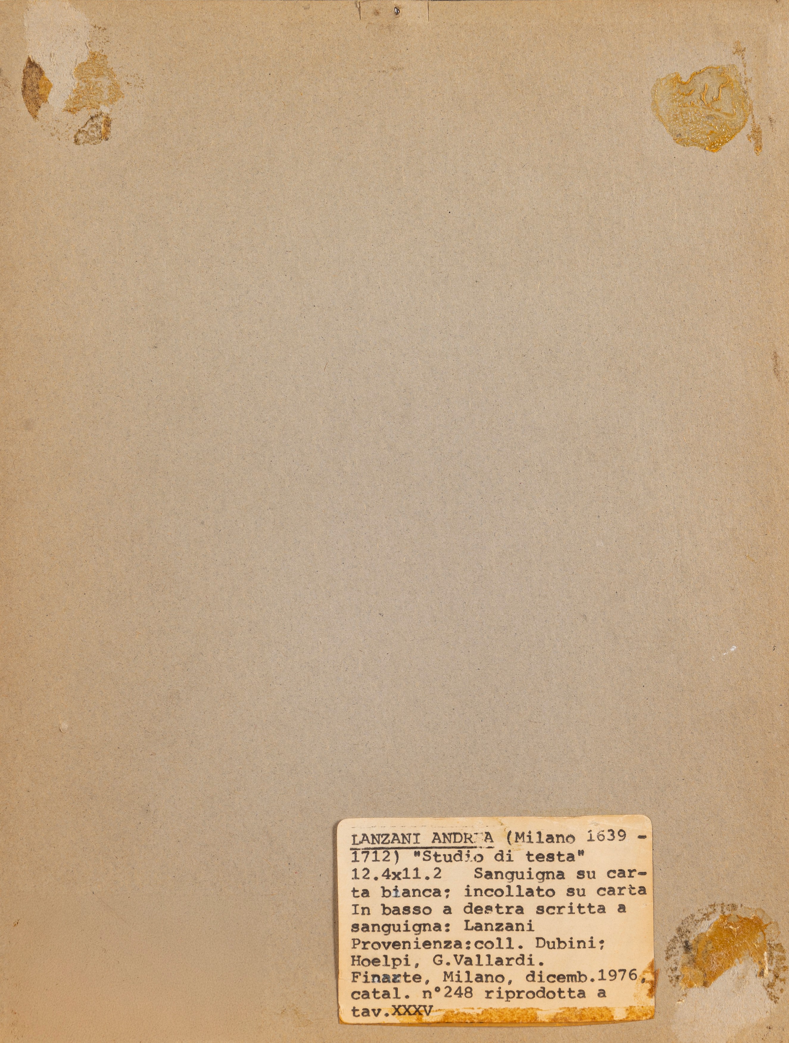 Studio di testa virile