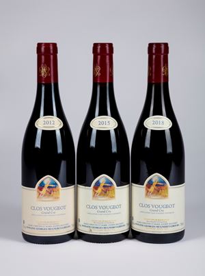 Selezione Domaine Georges Mugneret-Gibourg Clos de Vougeot Grand Cru